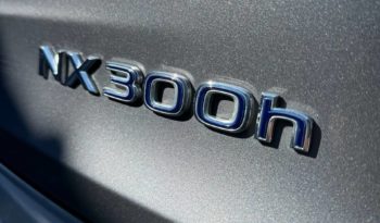 Lexus NX full